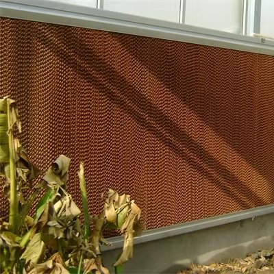 Maxpower Small Size Plastic Evaporative Cooling panels Pad for Agriculture Low-Cost Greenhouse Blackout