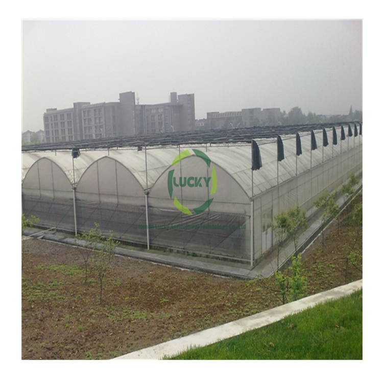 Chinese Passive Solar Smart Fabricated Poly Green House Hydroponic Growing Systems Plastic Tunnel Greenhouse Sale