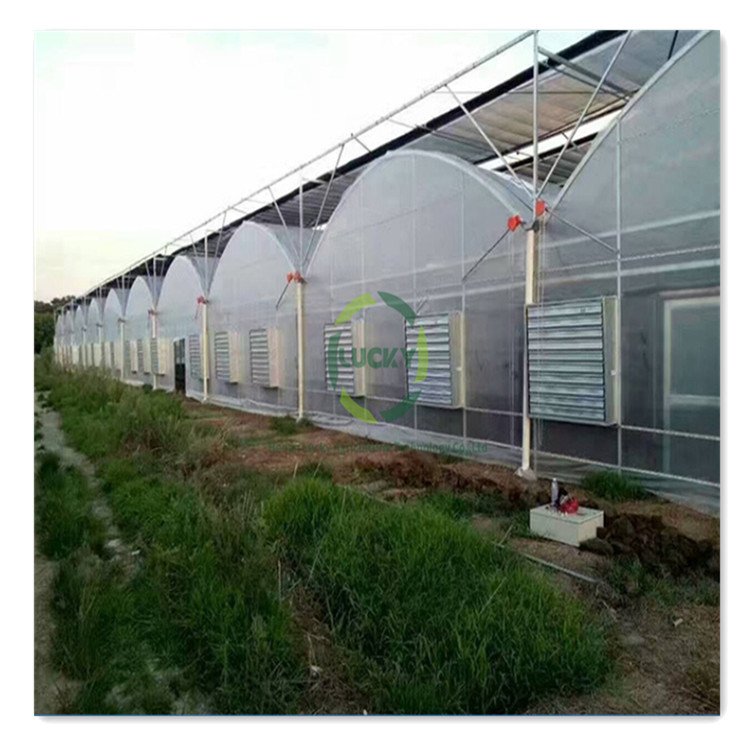 Chinese Passive Solar Smart Fabricated Poly Green House Hydroponic Growing Systems Plastic Tunnel Greenhouse Sale
