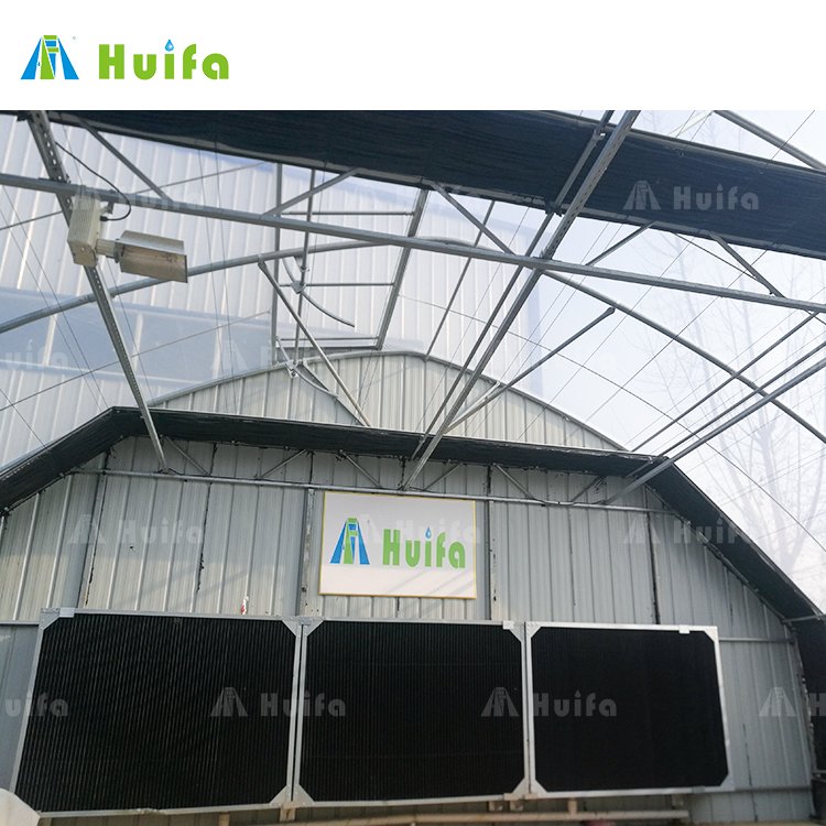 Commercial Automated Hydroponics Light Deprivation Blackout Greenhouse For Sale