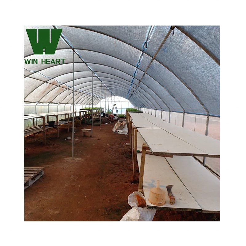 Single Tunnel Greenhouses greenhouses for agriculture