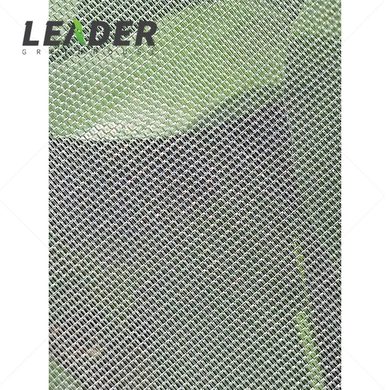 UV protection white garden mesh netting HDPE 40mesh 100gsm anti insect proof net screen for greenhouse vegetable plants