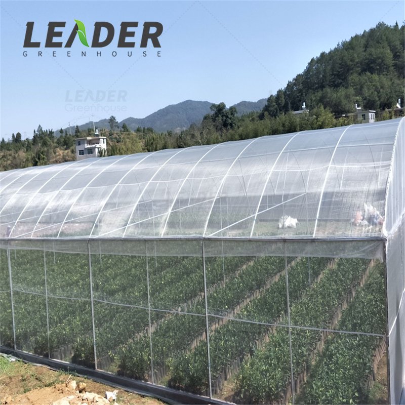 UV protection white garden mesh netting HDPE 40mesh 100gsm anti insect proof net screen for greenhouse vegetable plants