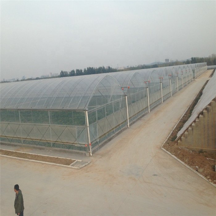 indoor agricultural greenhouse plastic sheet film tunnel greenhouse