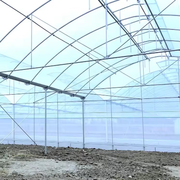 Tomato Tropical Growing Greenhouses vegetable Green House Sawtooth Greenhouse