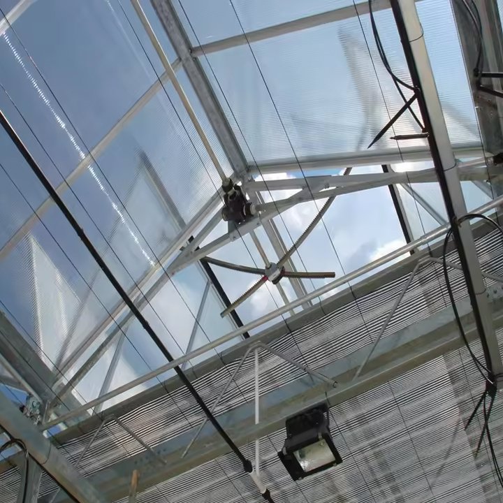 Tomato Tropical Growing Greenhouses vegetable Green House Sawtooth Greenhouse