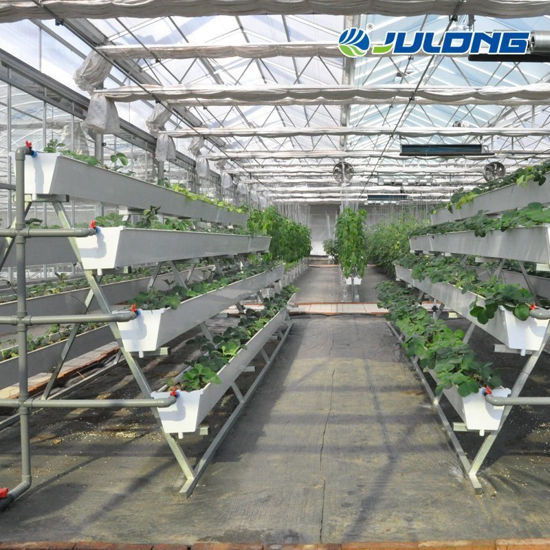 Commercial polycarbonate greenhouse structure equipment Used Strawberry Tomato Hydroponics PC polycarbonate green house