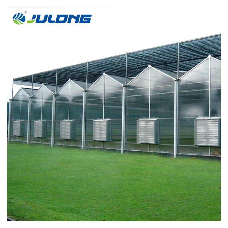 Commercial polycarbonate greenhouse structure equipment Used Strawberry Tomato Hydroponics PC polycarbonate green house