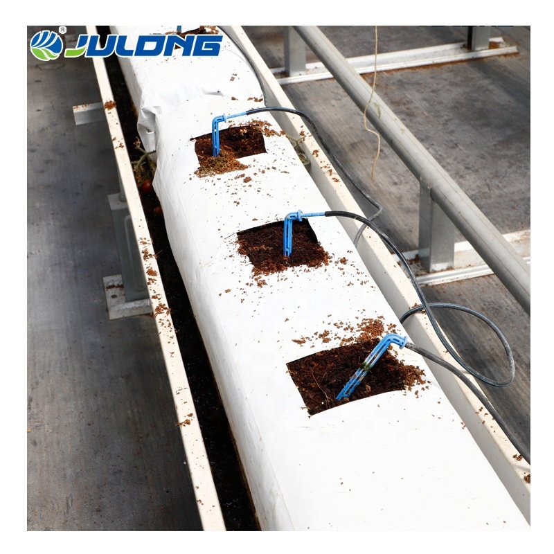 Commercial polycarbonate greenhouse structure equipment Used Strawberry Tomato Hydroponics PC polycarbonate green house