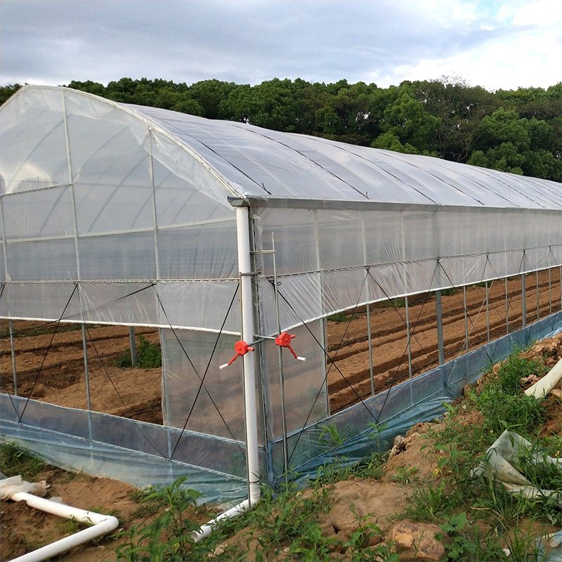 Tunnel Greenhouse Hot-dip Galvanized Material Planting Flowers Supplier Customized