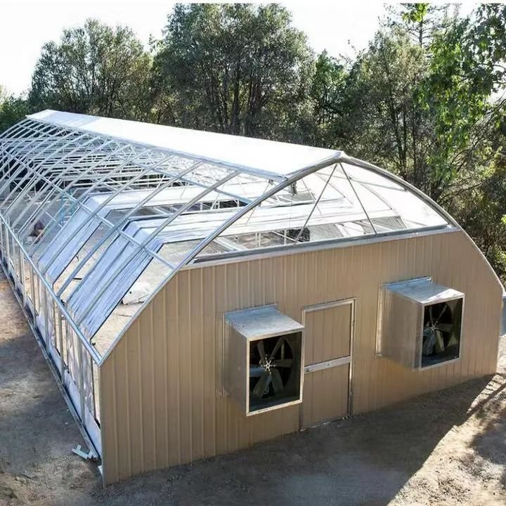 Wholesale Large Single Tunnel Style Plastic Arch Film Vegetable Square Pattern Steel Plants Growing light deprivation greenhouse