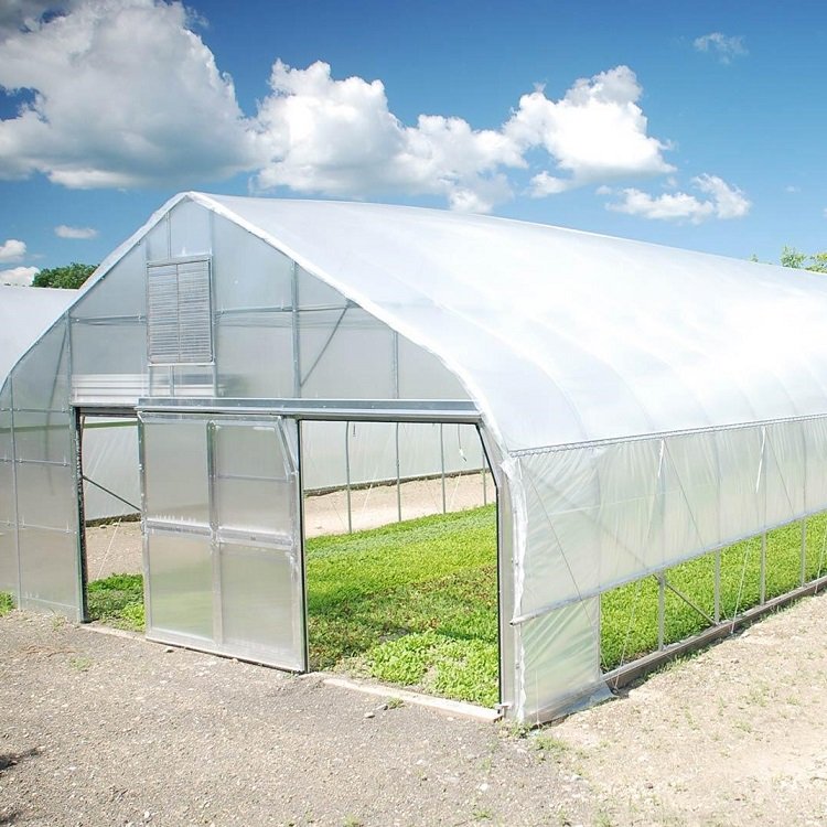 Plastic House Used Agricultural Greenhouse Pe Large Professional 150 Micron Green Film Large Coop Steel Covered