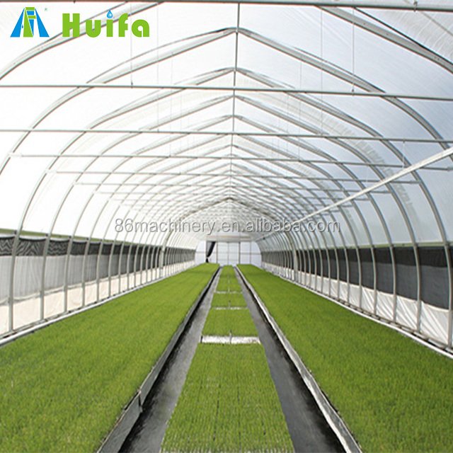 Plastic House Used Agricultural Greenhouse Pe Large Professional 150 Micron Green Film Large Coop Steel Covered