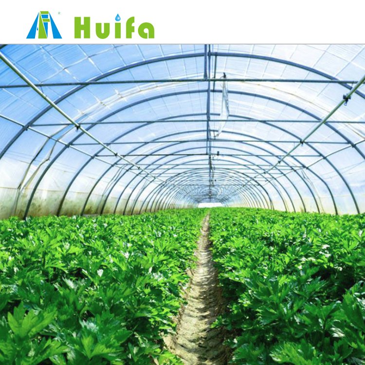 Plastic House Used Agricultural Greenhouse Pe Large Professional 150 Micron Green Film Large Coop Steel Covered