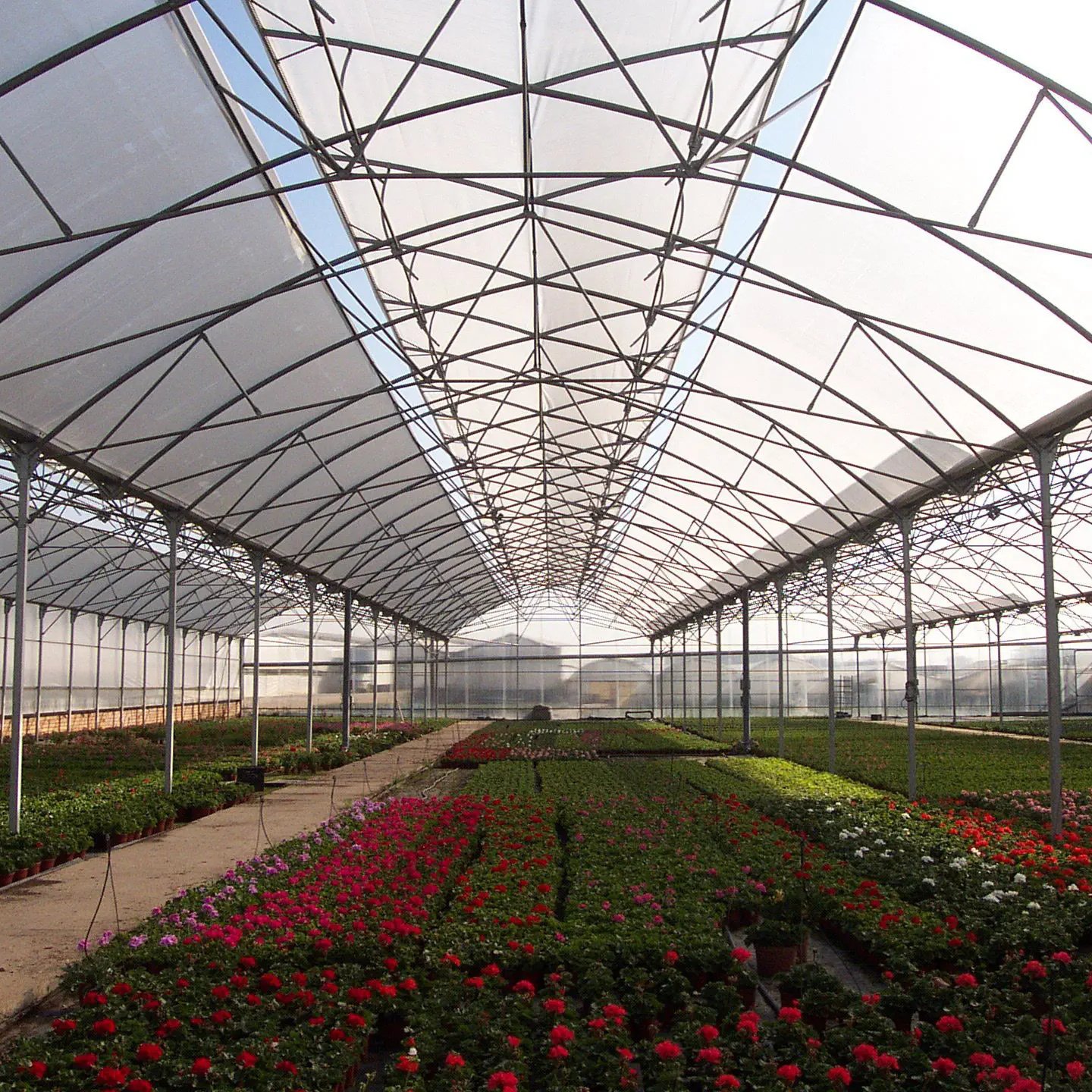 Baolida Custom Automatic System Greenhouse Tropical Hydroponic System Multi-span Seedling Greenhouse