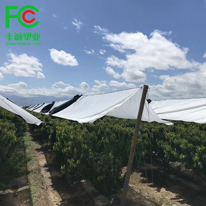 Super Strength Clear Woven Greenhouse Film / Orchard Cherries Rain Protection Cover