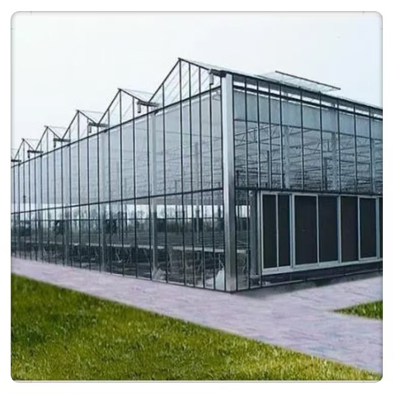 High Quality Agriculture Hydroponic System Photovoltaic Solar Glass Square Made HDPE PE Steel Film Large Multispan Greenhouse