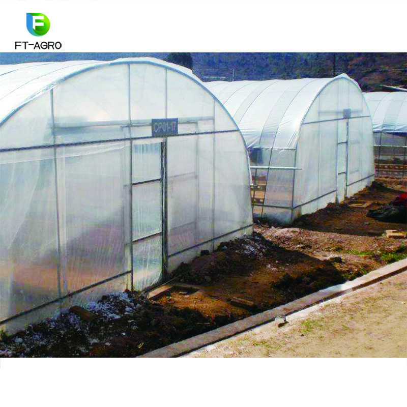 Single Span plastic film Agricultural Greenhouses