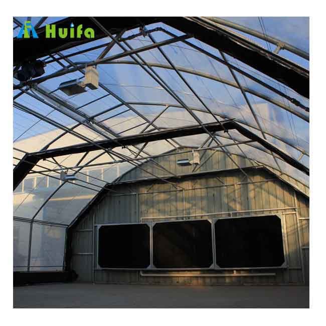 Industrial Single-span Plastic Film Greenhouse Blackout Greenhouse