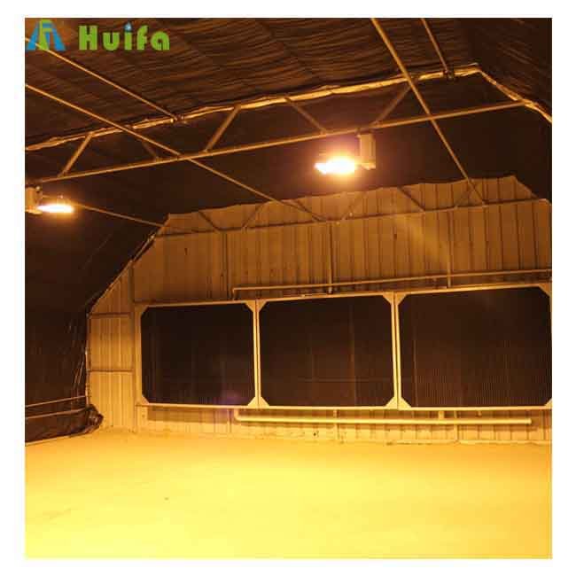 Industrial Single-span Plastic Film Greenhouse Blackout Greenhouse