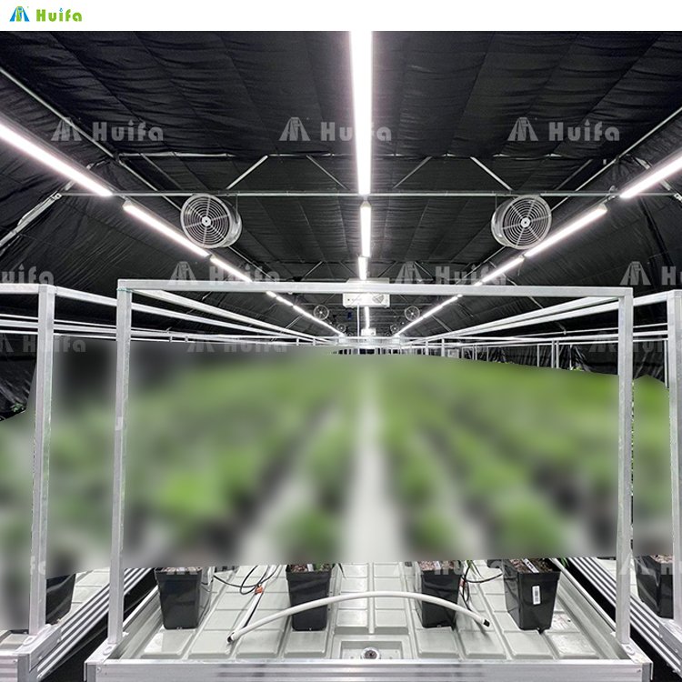 Industrial Single-span Plastic Film Greenhouse Blackout Greenhouse
