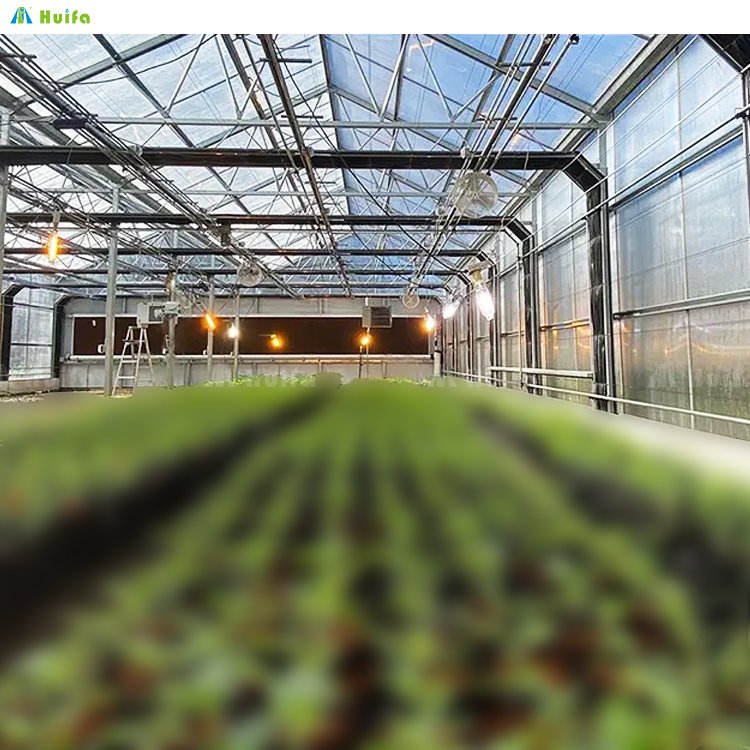 Industrial Single-span Plastic Film Greenhouse Blackout Greenhouse