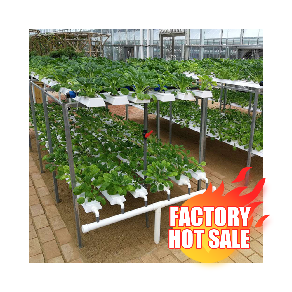 China Ntf Pvc Pipe Channel agriculture Growing Hydroponic System Tray For Vegetable System Tower Garden greenhouse