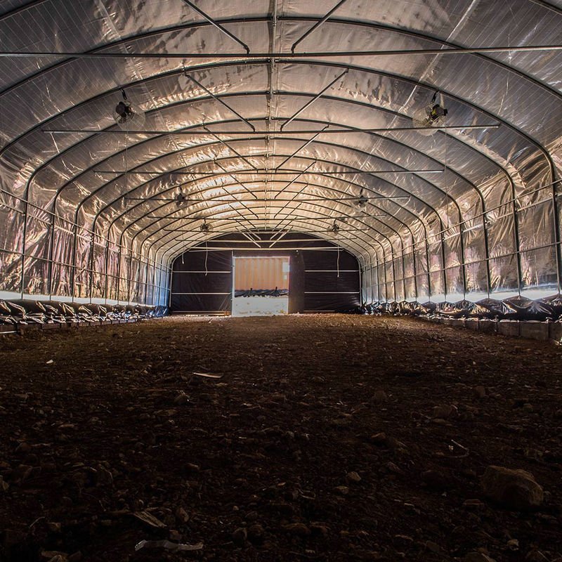 100% dark full automatic blackout greenhouse for sale