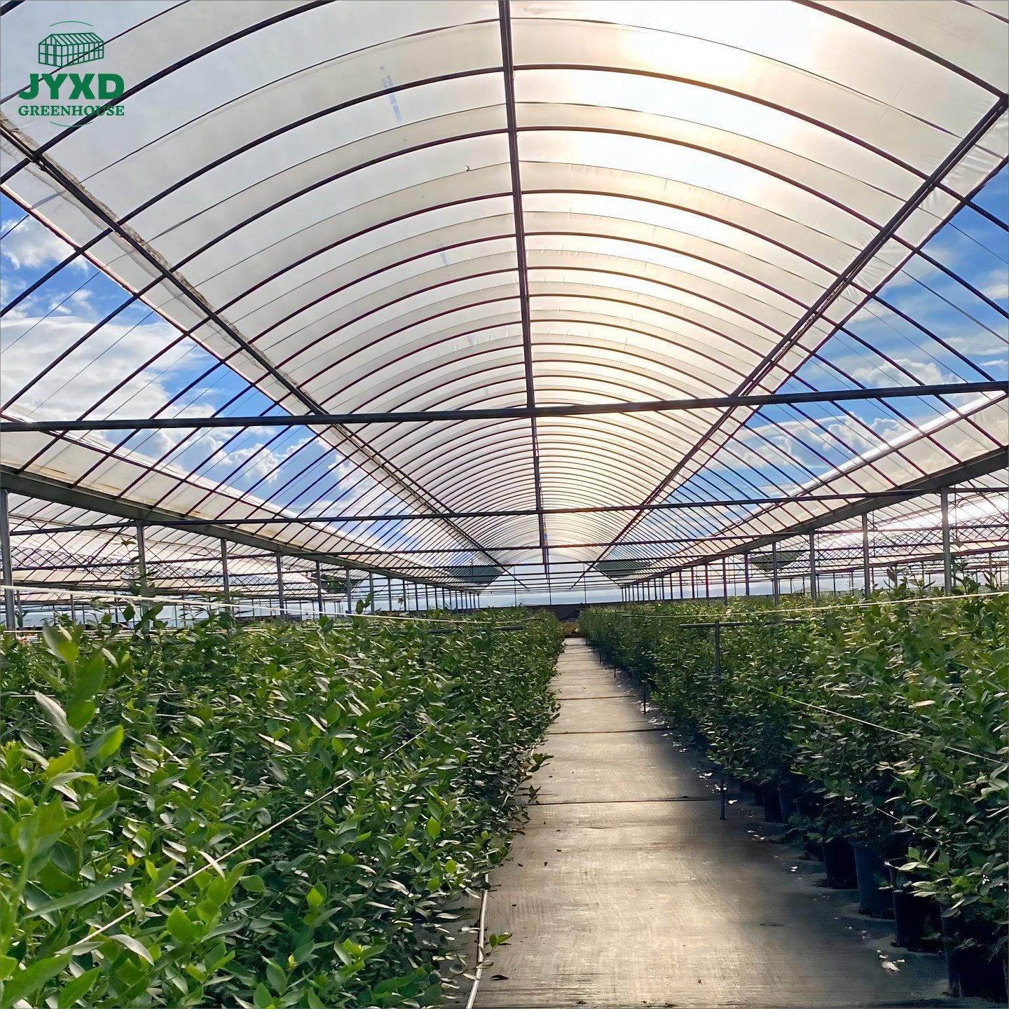 Top quality agricultural greenhouse film PE film greenhouse plastic film