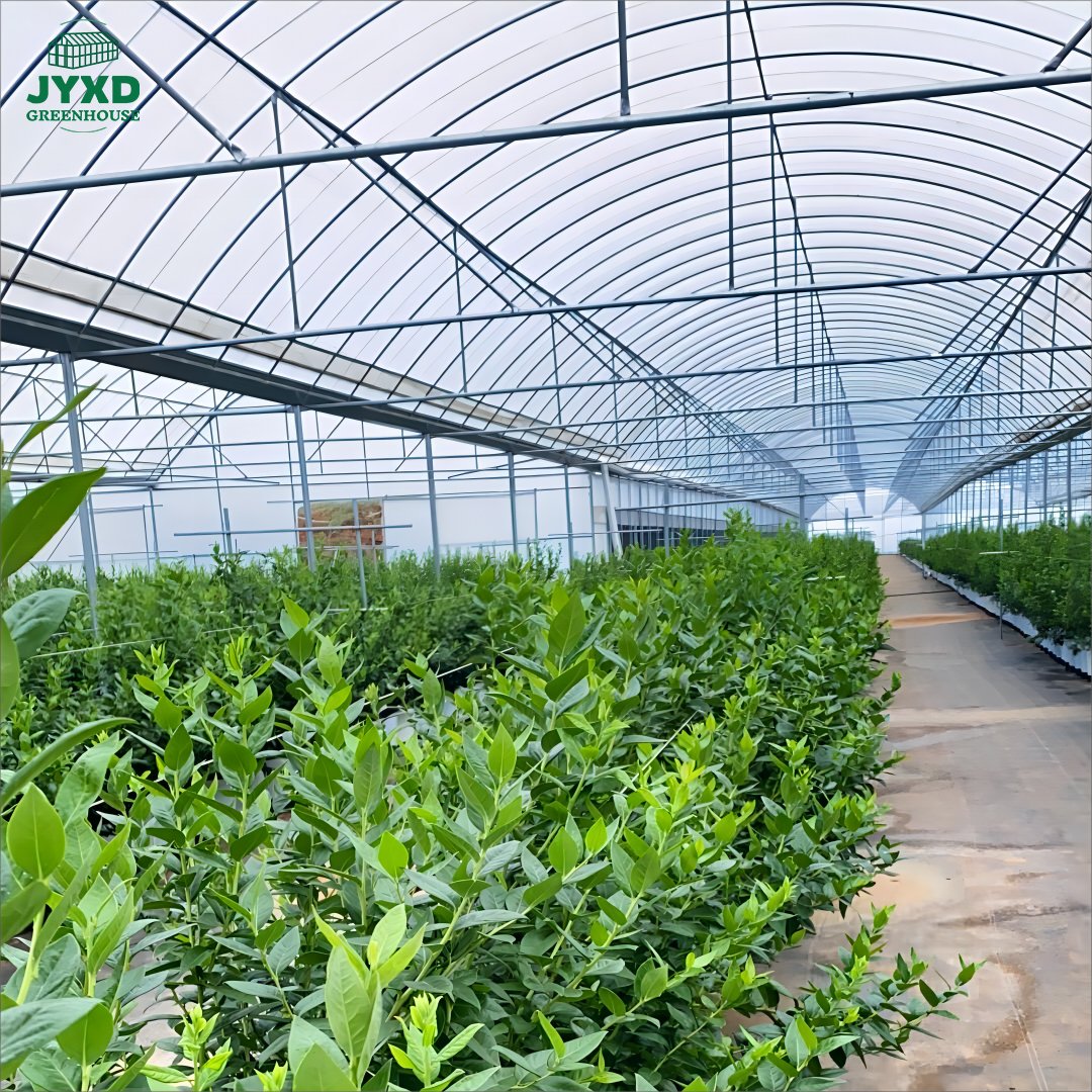 Top quality agricultural greenhouse film PE film greenhouse plastic film