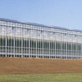 Agricultural intelligent Venlo glass pc greenhouse