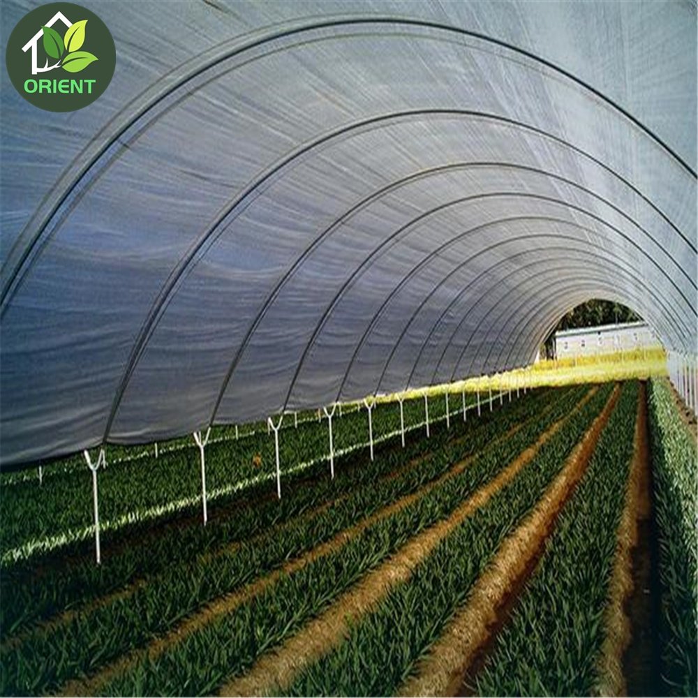 Poly Tunnel Commercial Agricultural Greenhouse