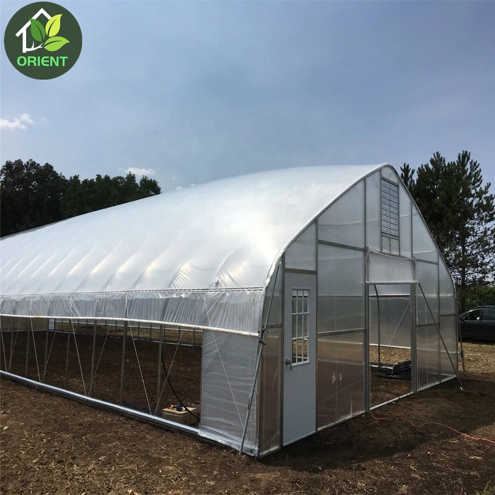 Poly Tunnel Commercial Agricultural Greenhouse