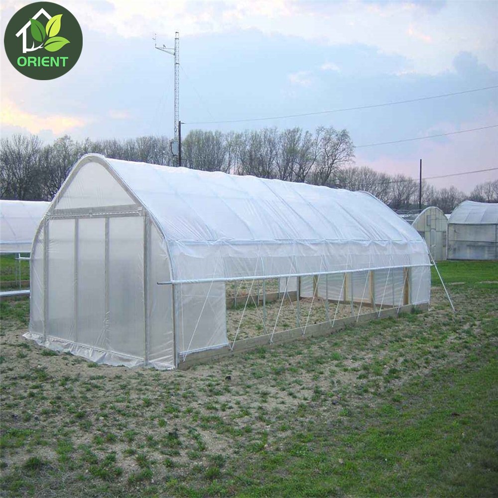 Poly Tunnel Commercial Agricultural Greenhouse