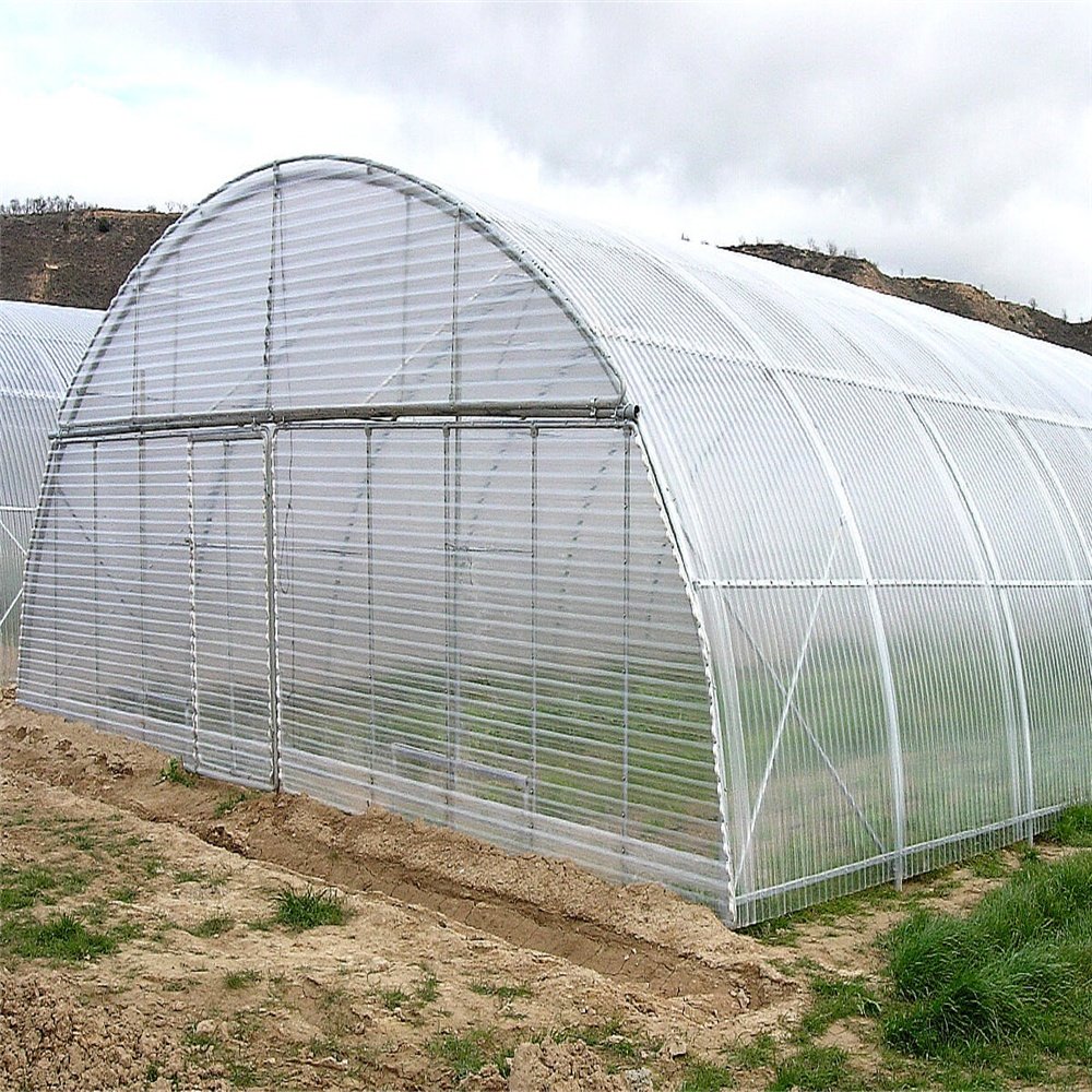 Poly Tunnel Commercial Agricultural Greenhouse
