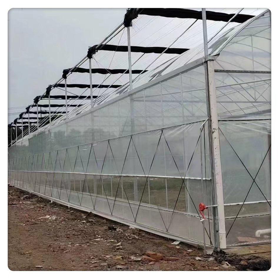 Customizable Multi-span Agricultural Garden Greenhouse Kit Large Square Steel Film Cover with Glass for Planting