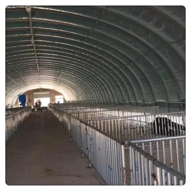 High Performance Cost-Effective Greenhouse Poultry Chickens Ducks Breeding Small-Scale Farming Durable Film Plastic Steel