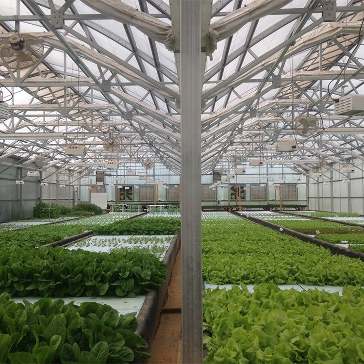 agricultural greenhouse frame