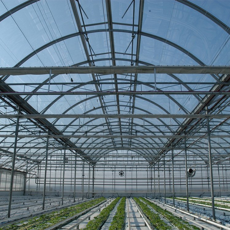 agricultural greenhouse frame