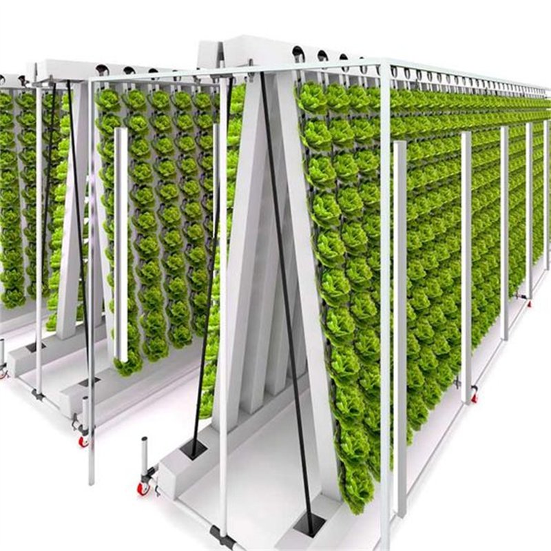 Wholesale Agricultural Greenhouse A Frame Shelves Hydroponic System For Lettuce