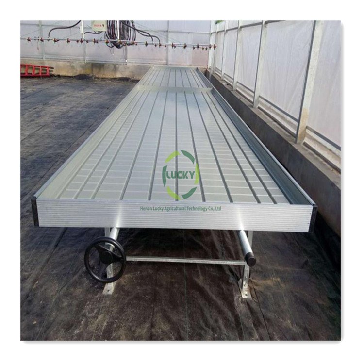Adjustable Greenhouse Abs Material Hydroponic Indoor Vertical Grow System Grow Tables Grow Racks Ebb