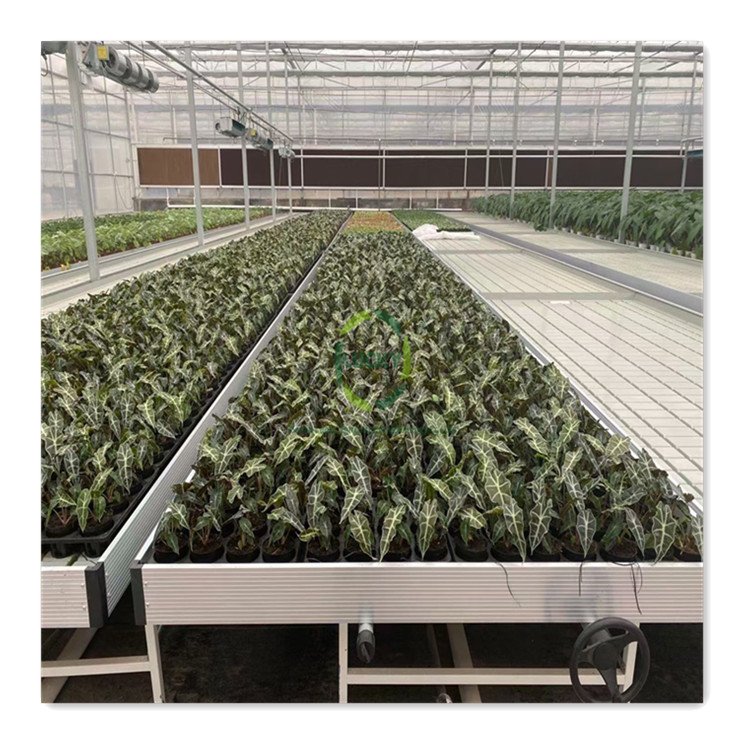 Adjustable Greenhouse Abs Material Hydroponic Indoor Vertical Grow System Grow Tables Grow Racks Ebb