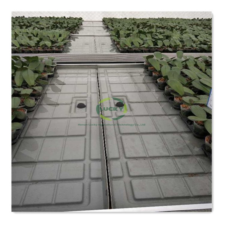Adjustable Greenhouse Abs Material Hydroponic Indoor Vertical Grow System Grow Tables Grow Racks Ebb
