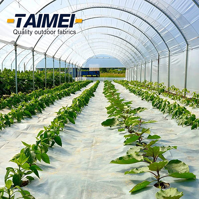 Agricultural Multi Plastic Greenhouse polythene cover Plastic Greenhouse Film for Vegetable