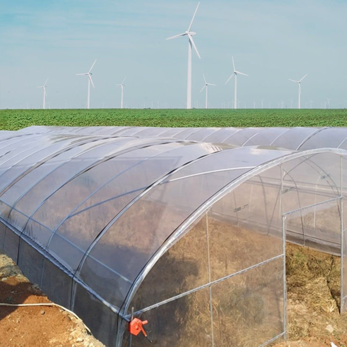 Agriculture low cost single span greenhouse PE film for flowers plant
