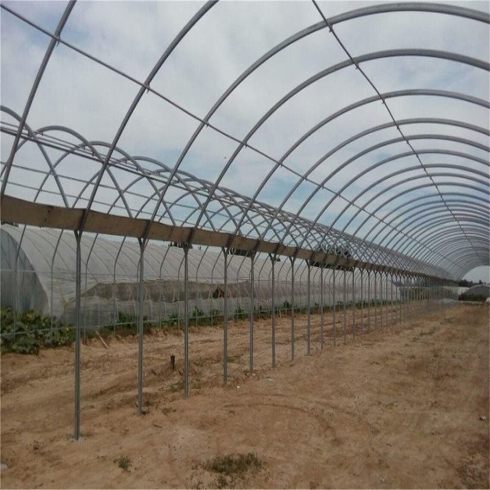 Agriculture Polycarbonate Steeple Greenhouse with Hydroponic System for Vertical Farm ventilation system