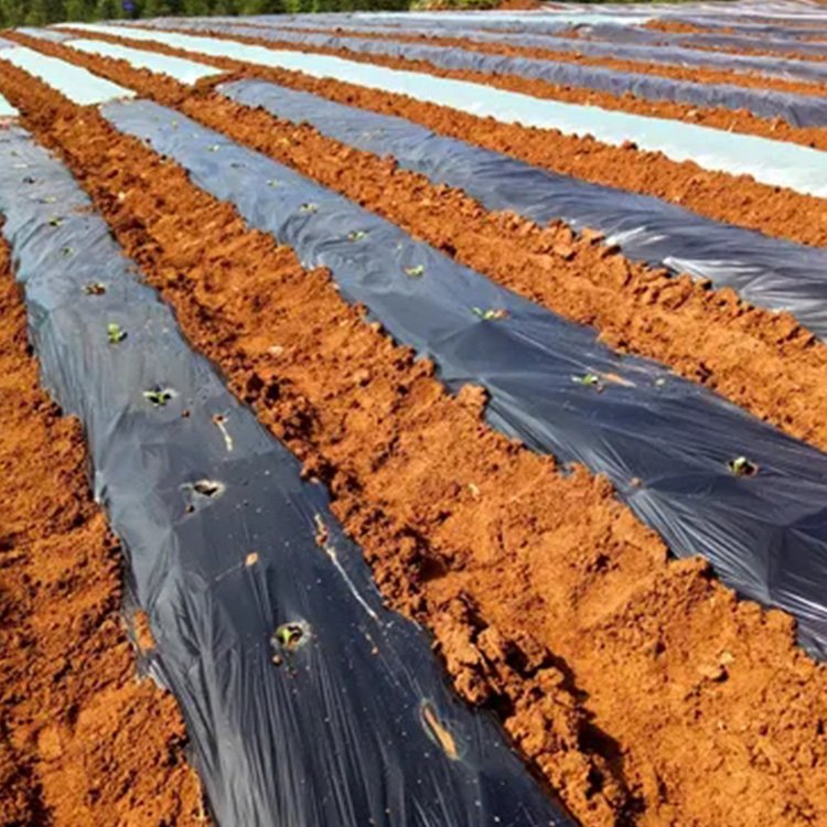 Factory Wholesale plastic mulch film agriculture manual film mulching pe black mulching film
