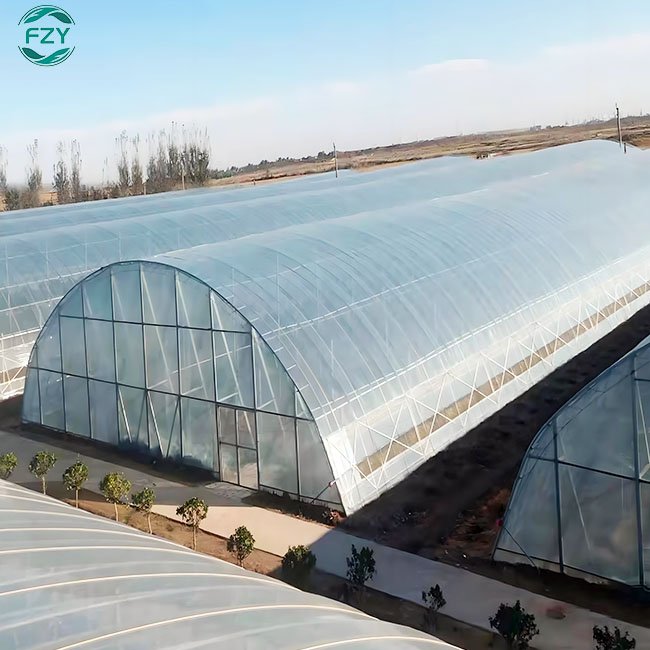 Agriculture Tomato Single Span Tunnel serre agricole green house metal frame horticulture tropical greenhouse price