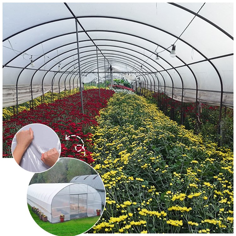 Agriculture Tomato Single Span Tunnel serre agricole green house metal frame horticulture tropical greenhouse price