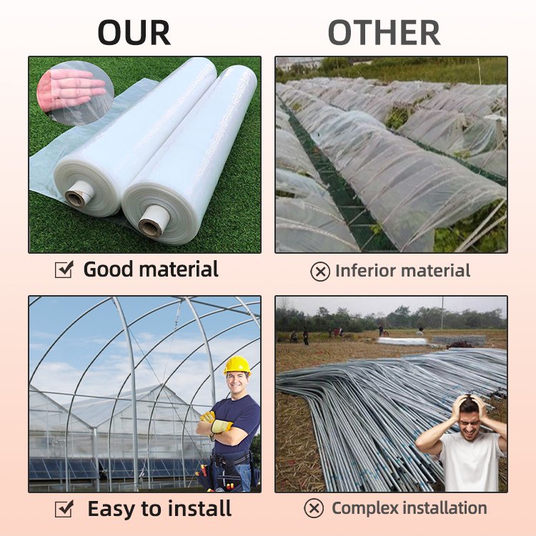 Agriculture Tomato Single Span Tunnel serre agricole green house metal frame horticulture tropical greenhouse price